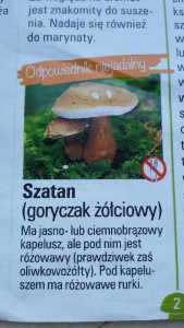 goryczak żółciowy - szatan