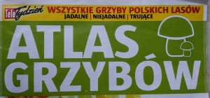 pseudo atlas grzybów 2