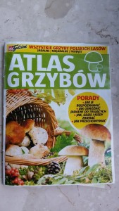 pseudo atlas grzybów